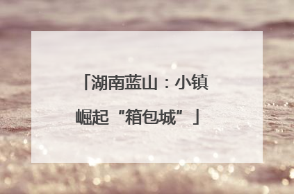湖南蓝山：小镇崛起“箱包城”