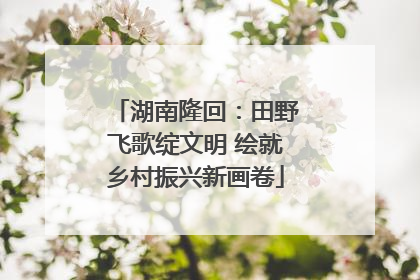 湖南隆回：田野飞歌绽文明 绘就乡村振兴新画卷
