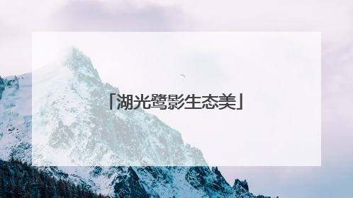 湖光鹭影生态美