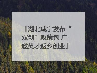 湖北咸宁发布“双创”政策包 广邀英才返乡创业
