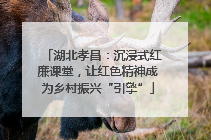 湖北孝昌：沉浸式红廉课堂，让红色精神成为乡村振兴“引擎”