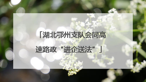 湖北鄂州支队会同高速路政“进企送法”