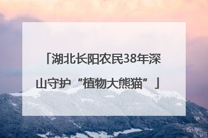 湖北长阳农民38年深山守护“植物大熊猫”