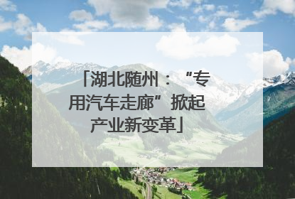 湖北随州：“专用汽车走廊”掀起产业新变革