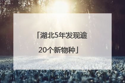 湖北5年发现逾20个新物种