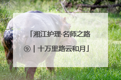 湘江护理·名师之路⑨｜十万里路云和月