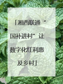 湘西联通“国补进村”让数字化红利惠及乡村