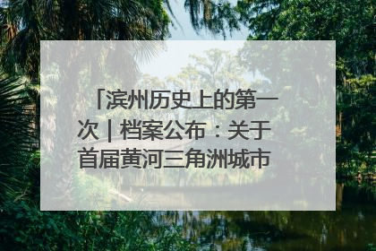 滨州历史上的第一次｜档案公布：关于首届黄河三角洲城市经济博览会暨发展论坛情况的总结报告