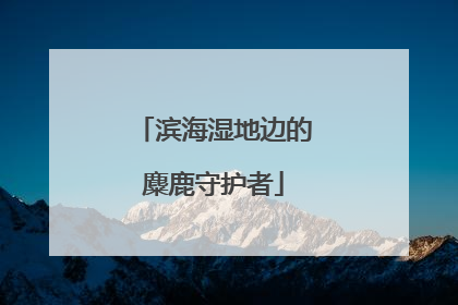 滨海湿地边的麋鹿守护者