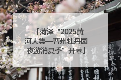 菏泽“2025黄河大集—曹州牡丹园夜游消夏季”开幕