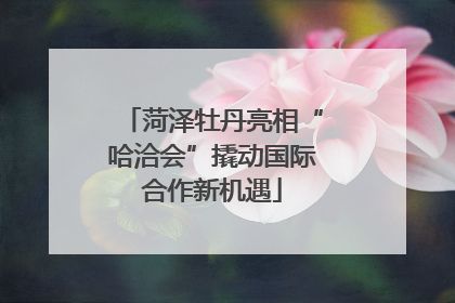 菏泽牡丹亮相“哈洽会”撬动国际合作新机遇