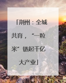 荆州：全城共育，“一粒米”链起千亿大产业