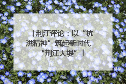 荆江评论：以“抗洪精神”筑起新时代“荆江大堤”