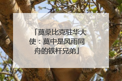 莫桑比克驻华大使：莫中是风雨同舟的铁杆兄弟