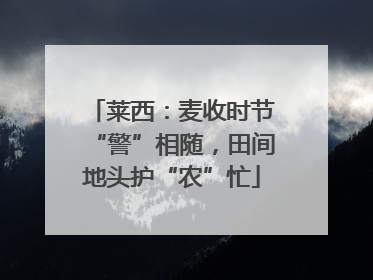 莱西：麦收时节“警”相随，田间地头护“农”忙