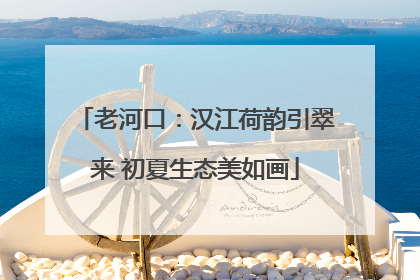 老河口：汉江荷韵引翠来 初夏生态美如画