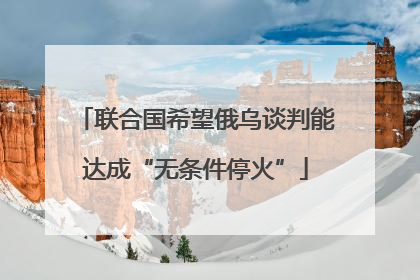 联合国希望俄乌谈判能达成“无条件停火”