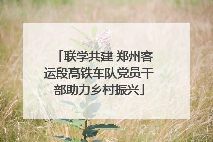 联学共建 郑州客运段高铁车队党员干部助力乡村振兴