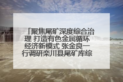 聚焦尾矿深度综合治理 打造有色金属循环经济新模式 张金良一行调研栾川县尾矿库综合治理工作