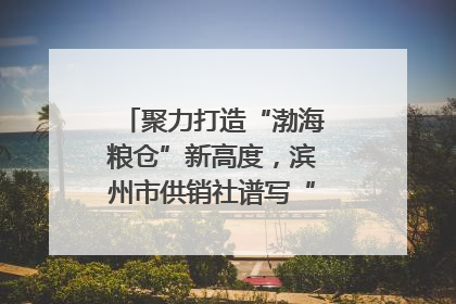 聚力打造“渤海粮仓”新高度，滨州市供销社谱写“三夏”丰收乐章