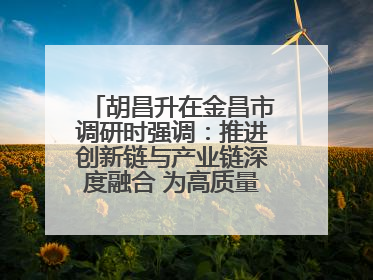 胡昌升在金昌市调研时强调：推进创新链与产业链深度融合 为高质量发展塑造新动能新优势