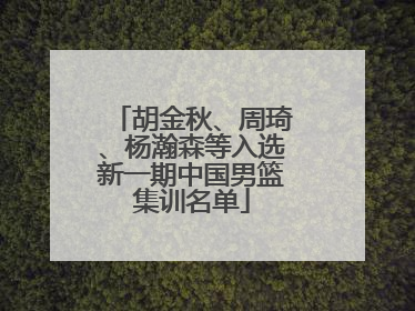 胡金秋、周琦、杨瀚森等入选新一期中国男篮集训名单