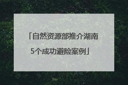 自然资源部推介湖南5个成功避险案例