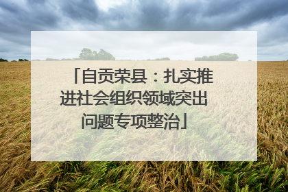自贡荣县：扎实推进社会组织领域突出问题专项整治