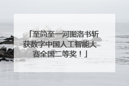至简至一河图洛书斩获数字中国人工智能大赛全国二等奖！
