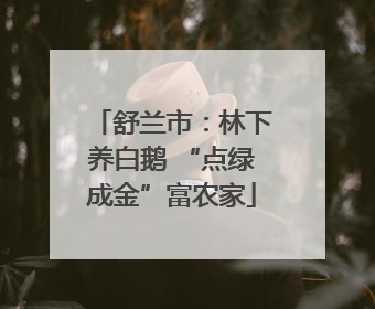 舒兰市：林下养白鹅 “点绿成金”富农家