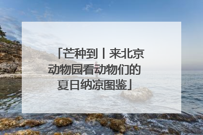 芒种到丨来北京动物园看动物们的夏日纳凉图鉴