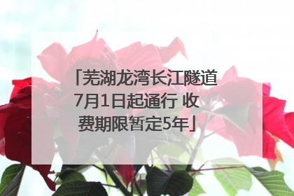 芜湖龙湾长江隧道7月1日起通行 收费期限暂定5年