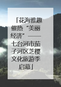 花海雅趣催热“美丽经济”——七台河市茄子河区芝樱文化旅游季启幕