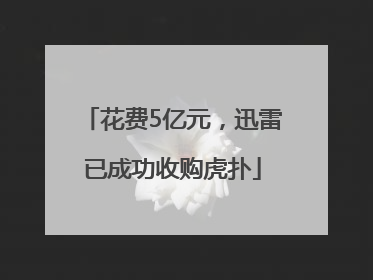花费5亿元，迅雷已成功收购虎扑