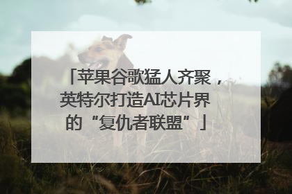 苹果谷歌猛人齐聚，英特尔打造AI芯片界的“复仇者联盟”
