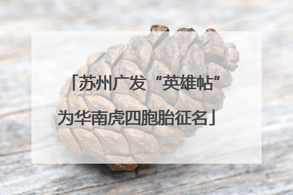苏州广发“英雄帖”为华南虎四胞胎征名