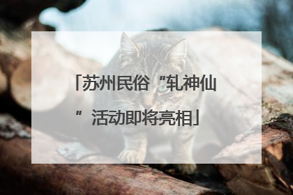 苏州民俗“轧神仙”活动即将亮相