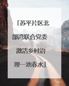 苏平片区北部湾联合党委 激活乡村治理一池春水