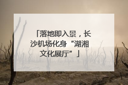落地即入景，长沙机场化身“湖湘文化展厅”
