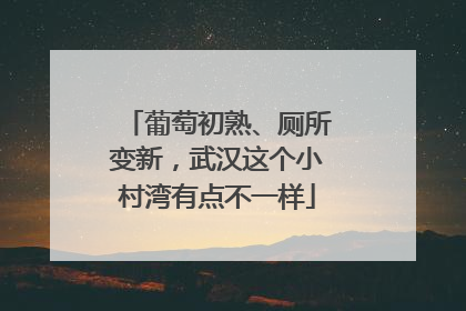 葡萄初熟、厕所变新，武汉这个小村湾有点不一样