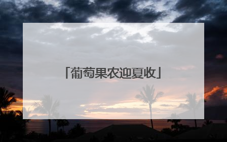 葡萄果农迎夏收