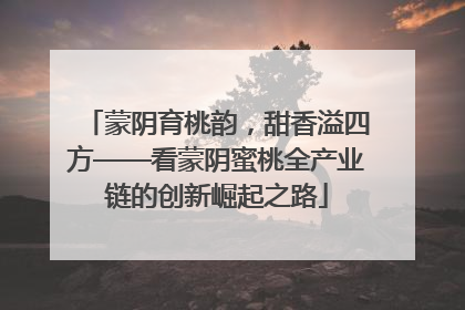 蒙阴育桃韵，甜香溢四方——看蒙阴蜜桃全产业链的创新崛起之路