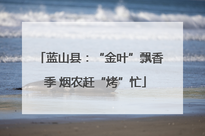 蓝山县：“金叶”飘香季 烟农赶“烤”忙
