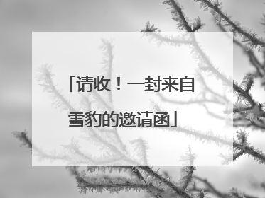 请收！一封来自雪豹的邀请函