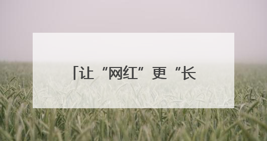 让“网红”更“长红” 杭州培育“村播”2600余人