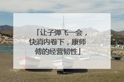 让子弹飞一会，快消内卷下，康师傅的经营韧性