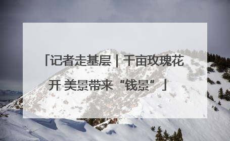 记者走基层｜千亩玫瑰花开 美景带来“钱景”
