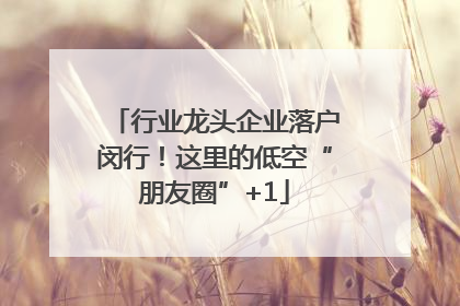 行业龙头企业落户闵行！这里的低空“朋友圈”+1