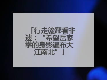 行走赣鄱看非遗：“希望岳家拳的身影遍布大江南北”