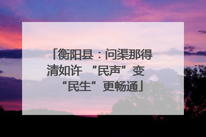衡阳县：问渠那得清如许 “民声”变“民生”更畅通